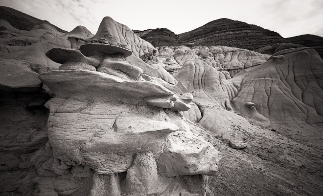 Alberta Rollie 25 APX031-Edit