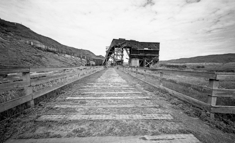 Alberta Rollie 25 APX022