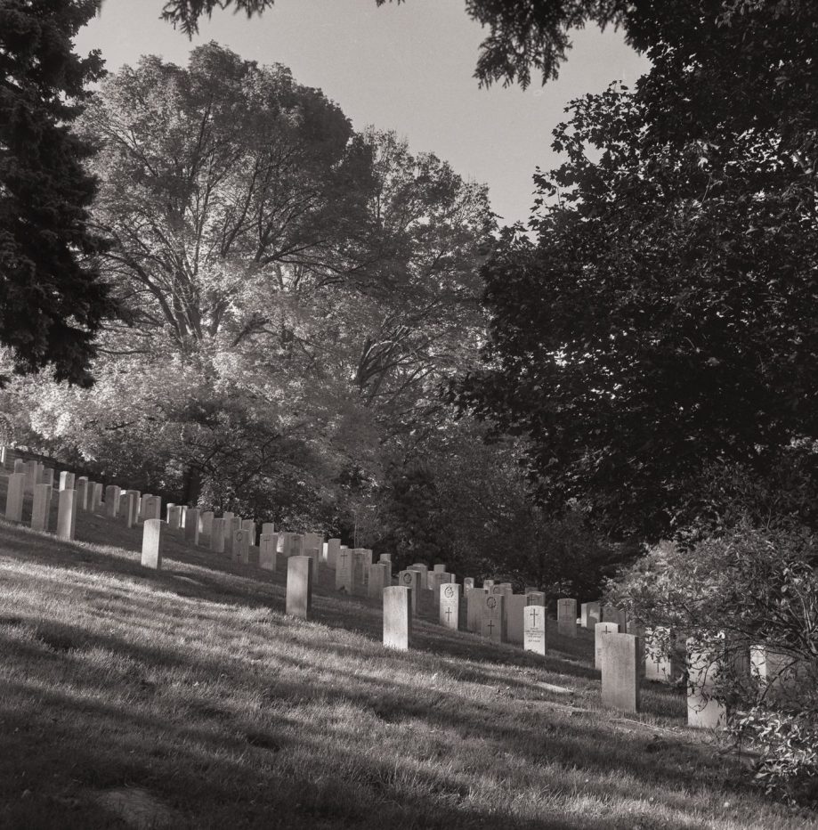 12031414_10153122152486987_1510343115183643726_o