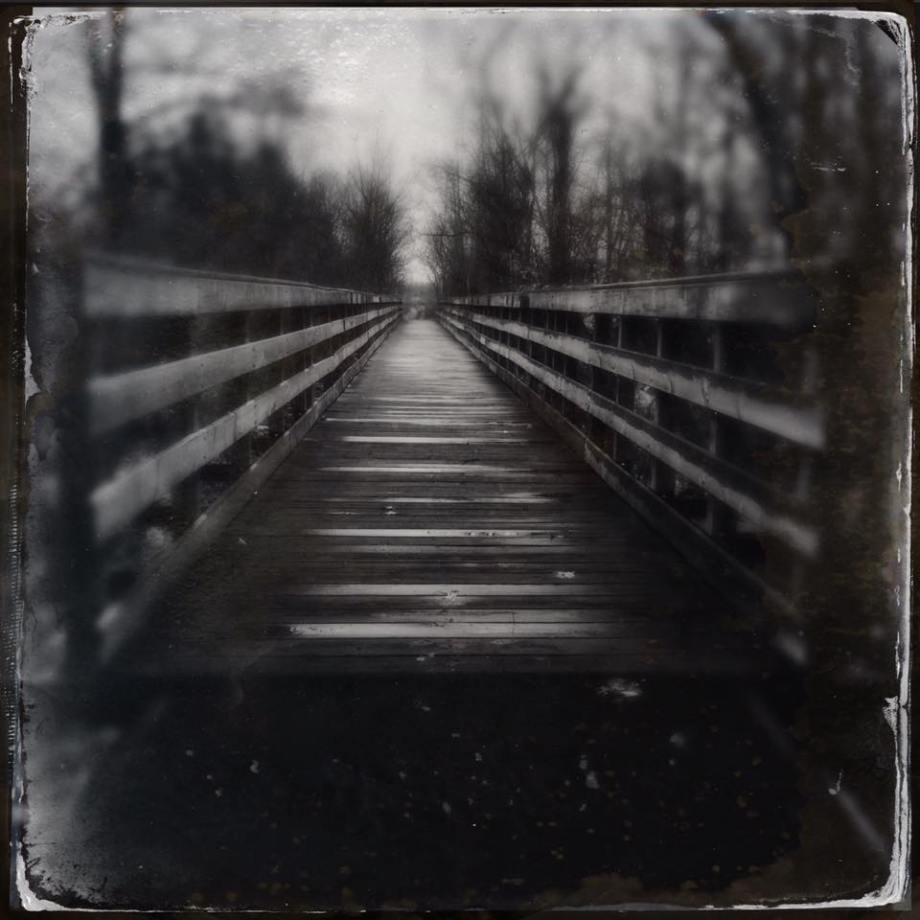 12239956_10153136716221987_1696277904290227552_n