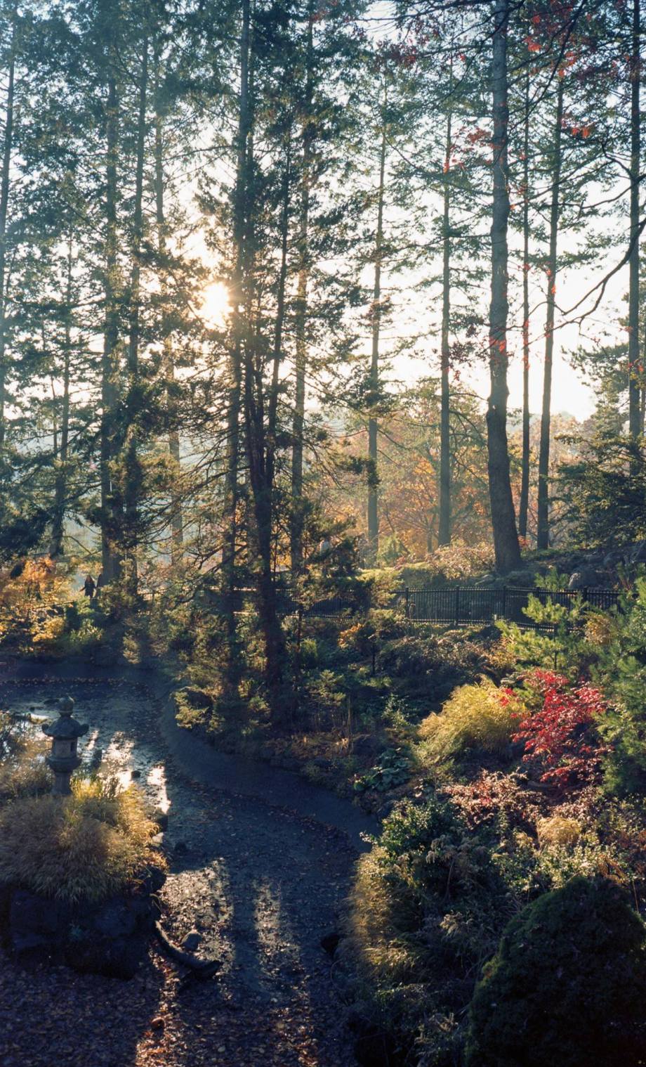 12240219_10153133098896987_2921328017193948843_o