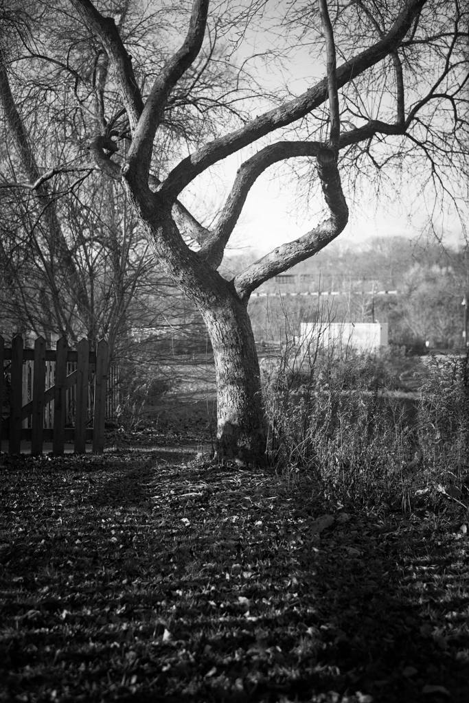 12265662_10153142946886987_9222317842688792746_o