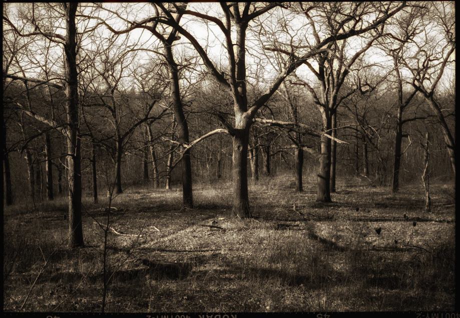 12291146_10153153677386987_4586947108688914315_o