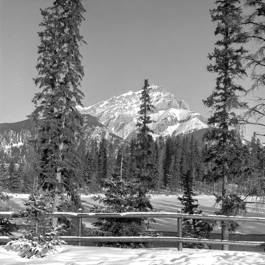 Banff and LB Jan 2015060