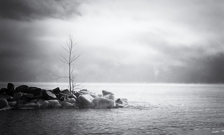 12671952_10153280824756987_6783879551530819173_o