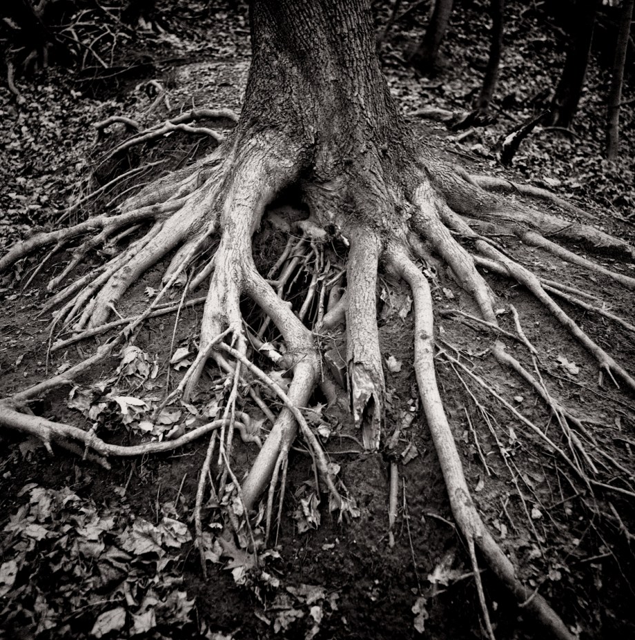 Hasselblad RPX 400_003-Edit