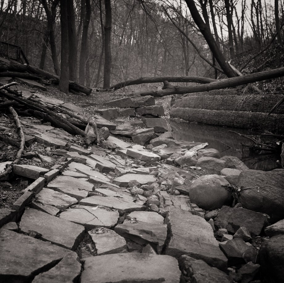 Sean Ravine RPX400_003-Edit-3