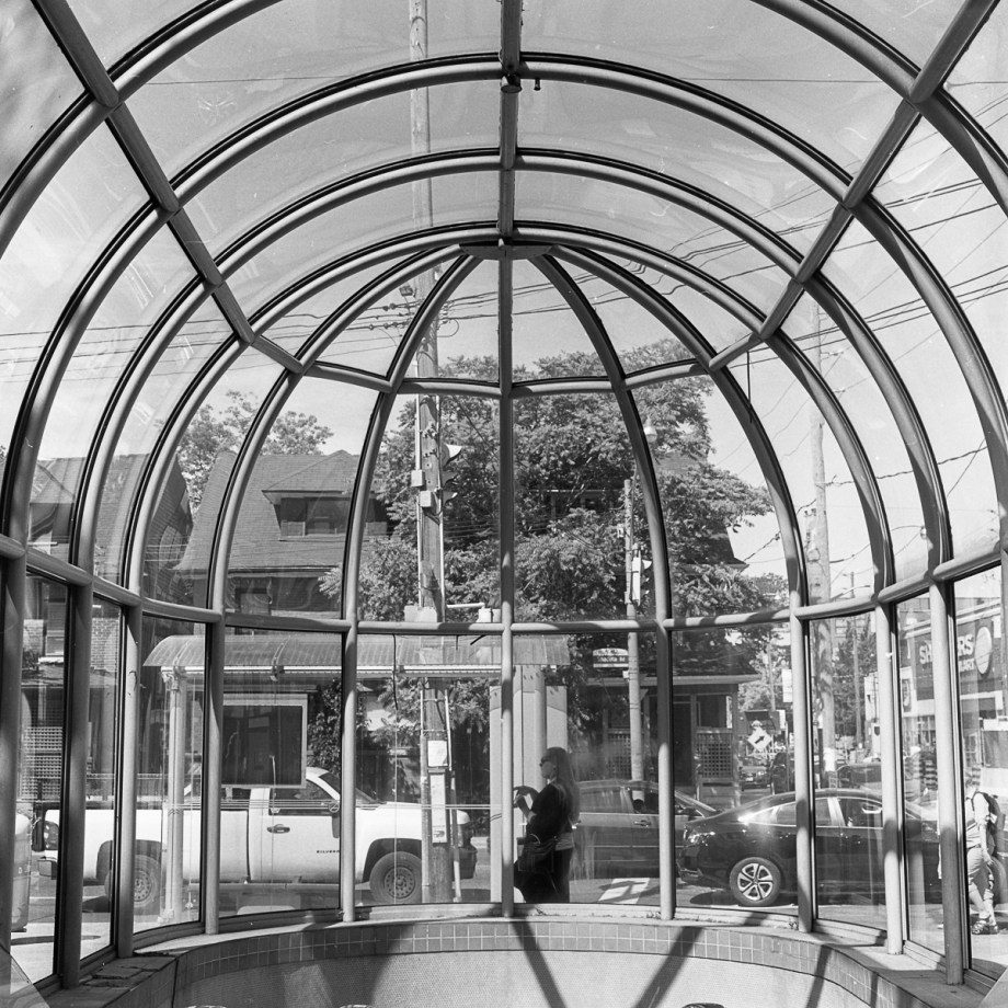 Toronto hassy Street013