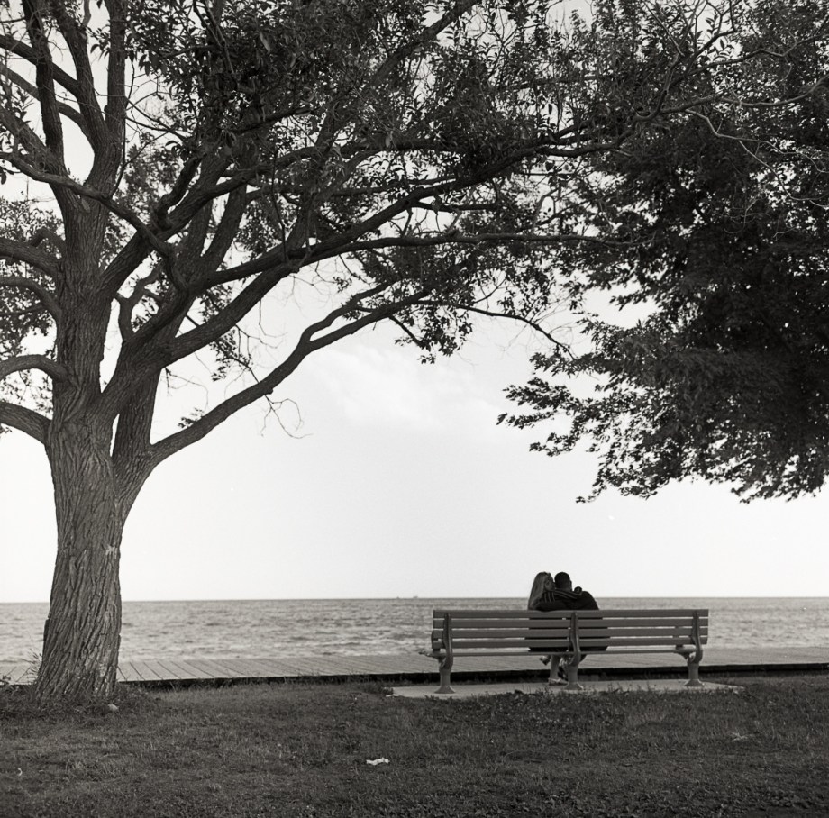 Hamilton MMPR 2016057