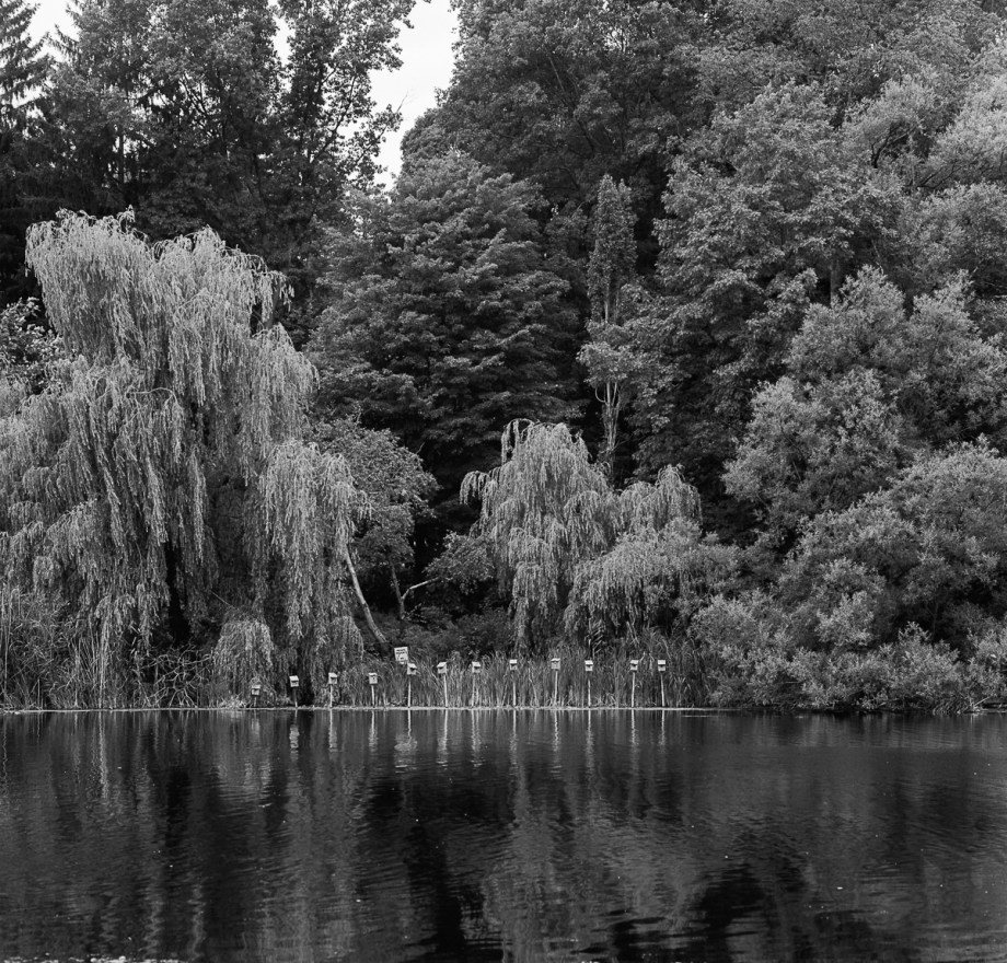 High Park Hasselblad 80S005