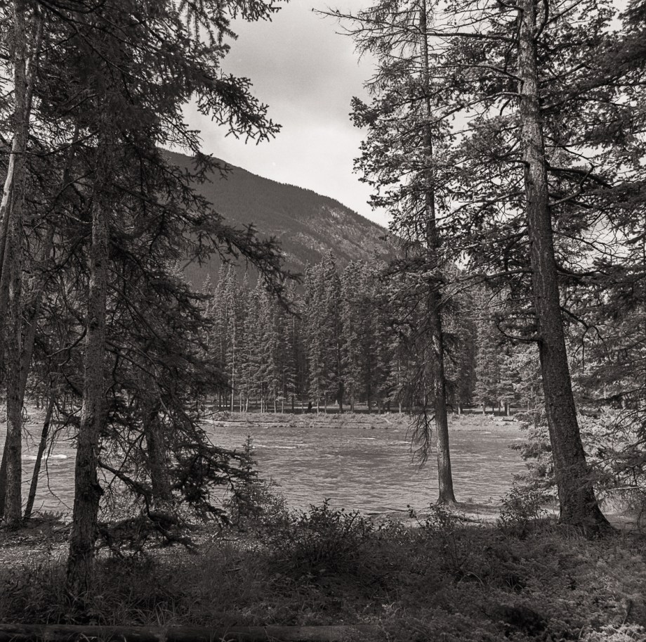 HP5+ June 2016 022-Edit