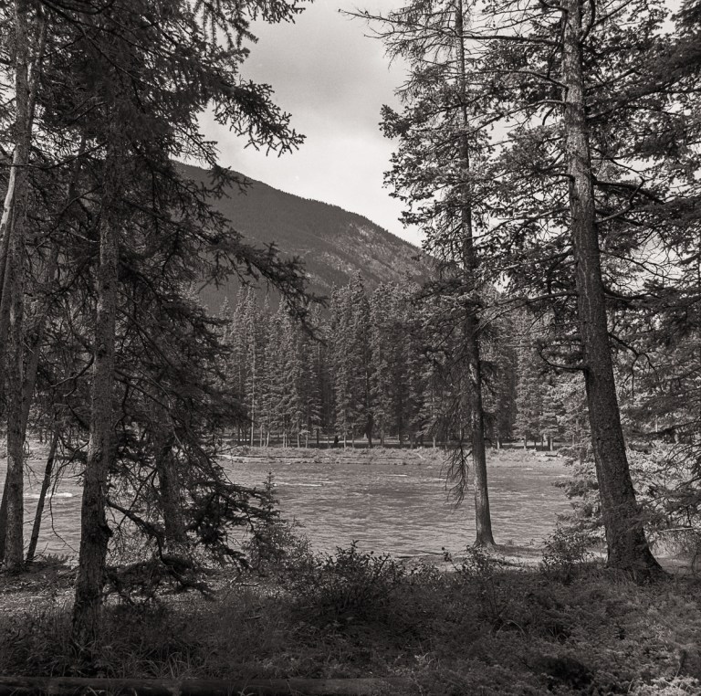 HP5+ June 2016 022-Edit