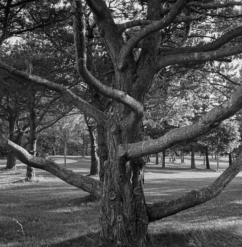 Beaches etc Rollei TX 016