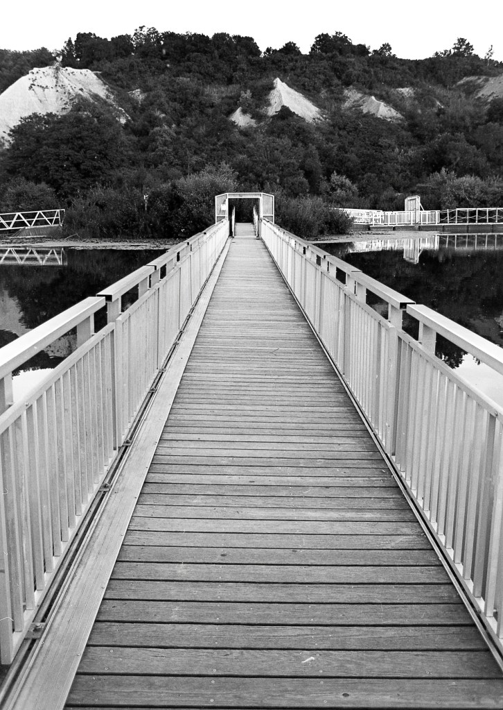 Bluff 2366 F4 8-16024