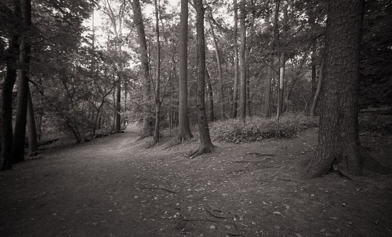 High Park N90s RPX 400 027-Edit