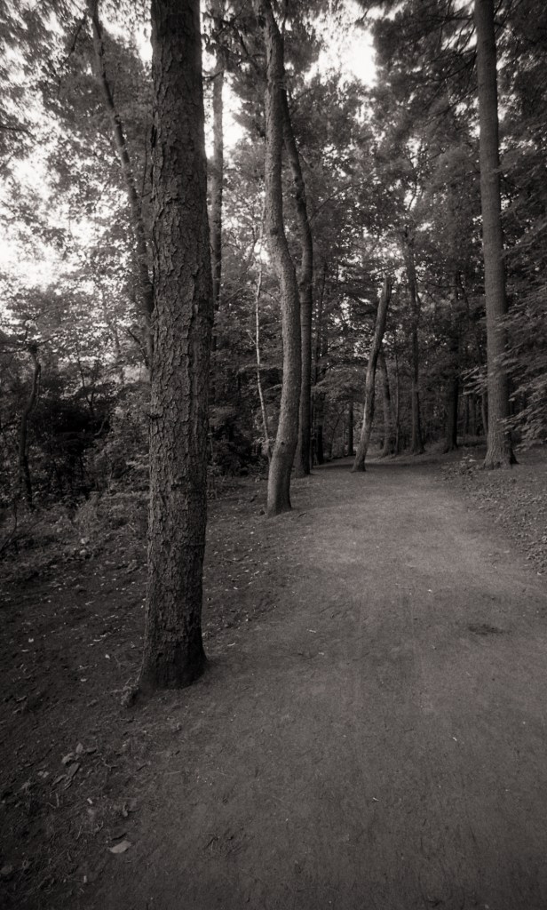 High Park N90s RPX 400 028-Edit