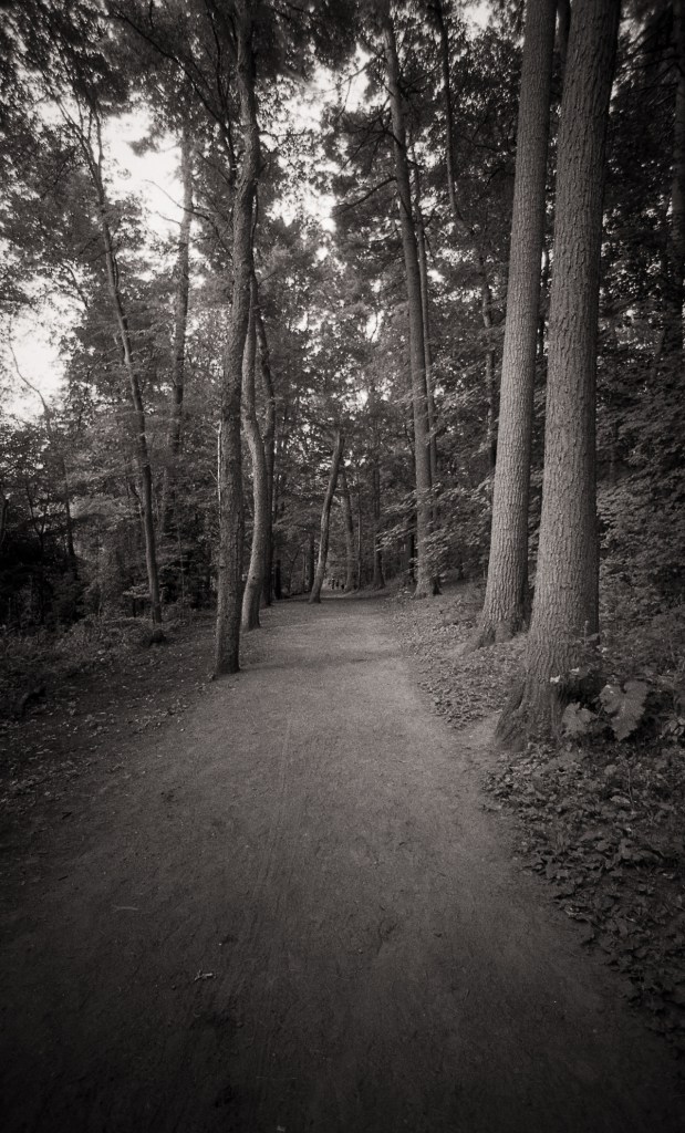 High Park N90s RPX 400 029-Edit