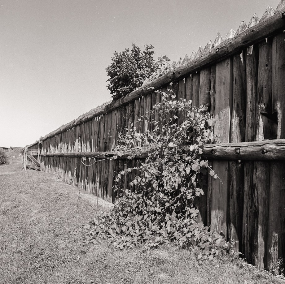 N.O.L. Hassy Pan F plus 009-Edit