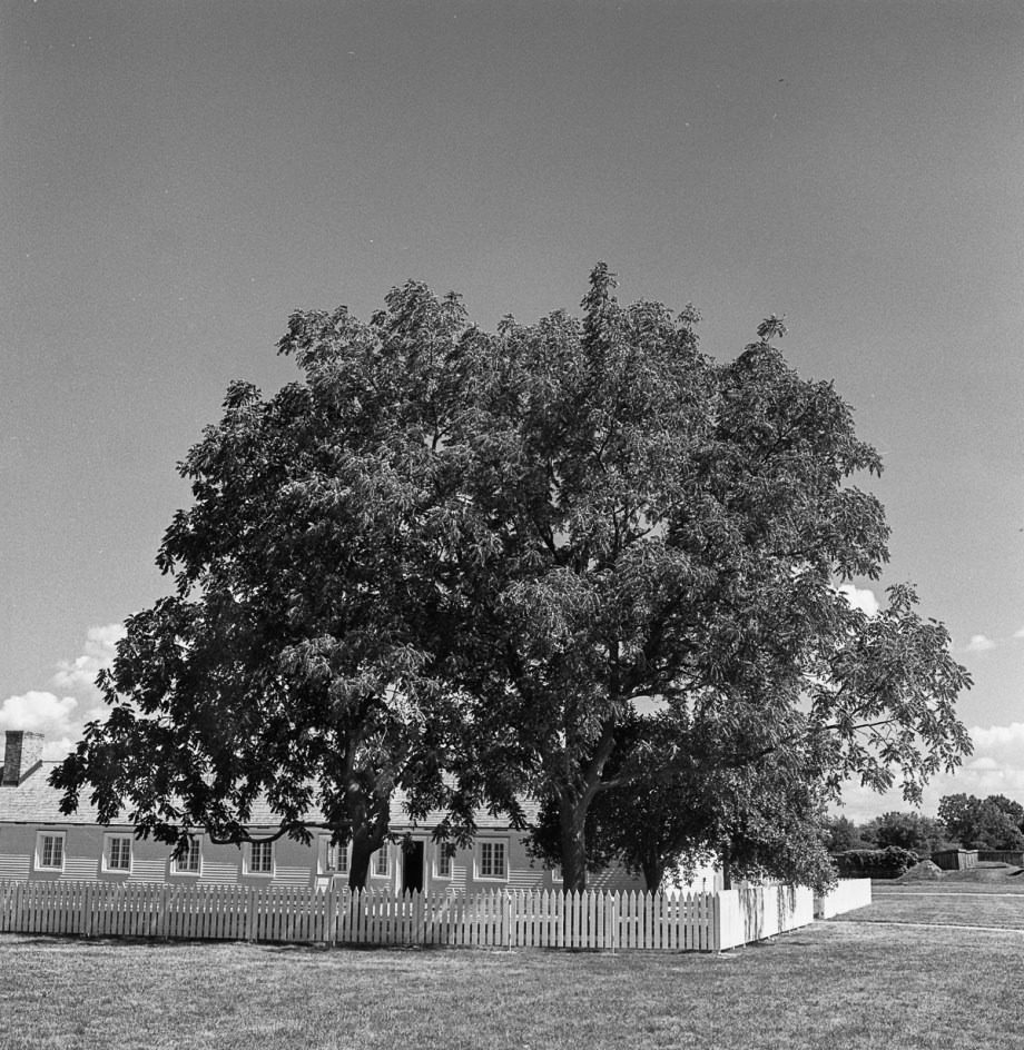 N.O.L. Hassy RPX400 8-16012