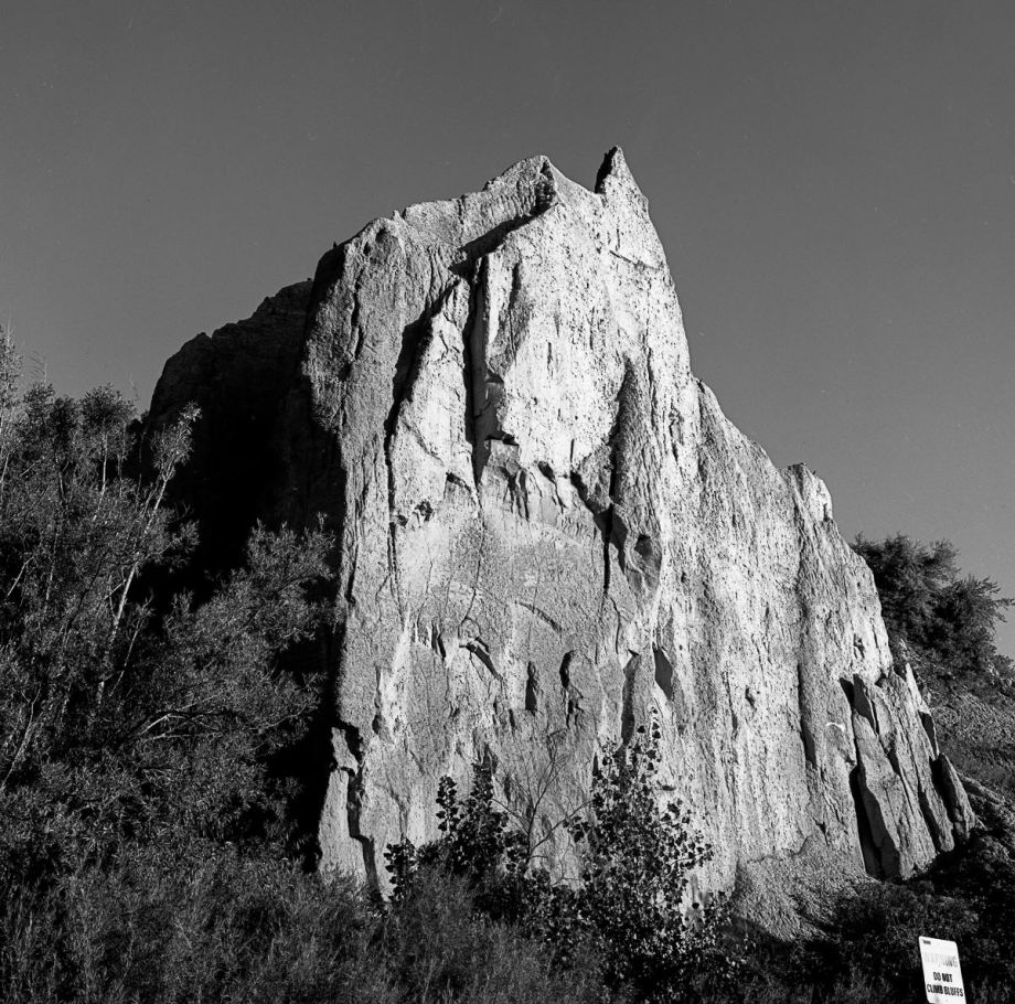 14289780_10153741415476987_5178392378520985200_o