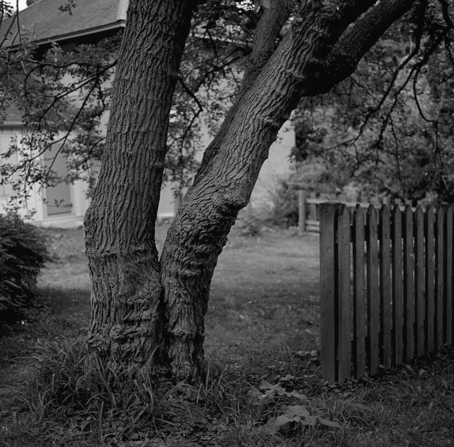 back-test-hb-tmax100-916008