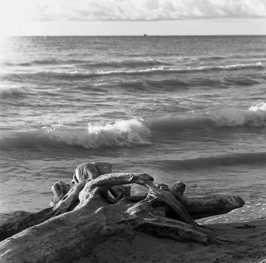 Bluffers Beach HB RPX25015