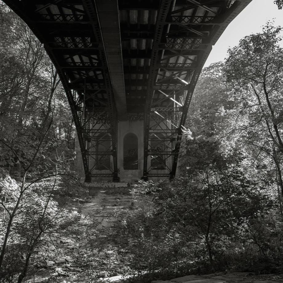 14559987_10153791639646987_9007442481034794713_o