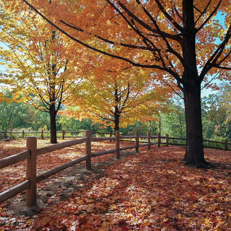 fall-hb-ektar-10-16010