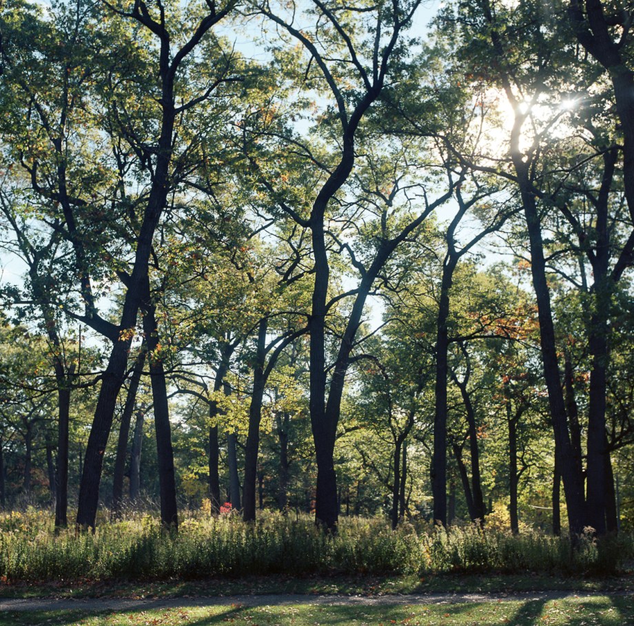 fall-hb-ektar-10-16022