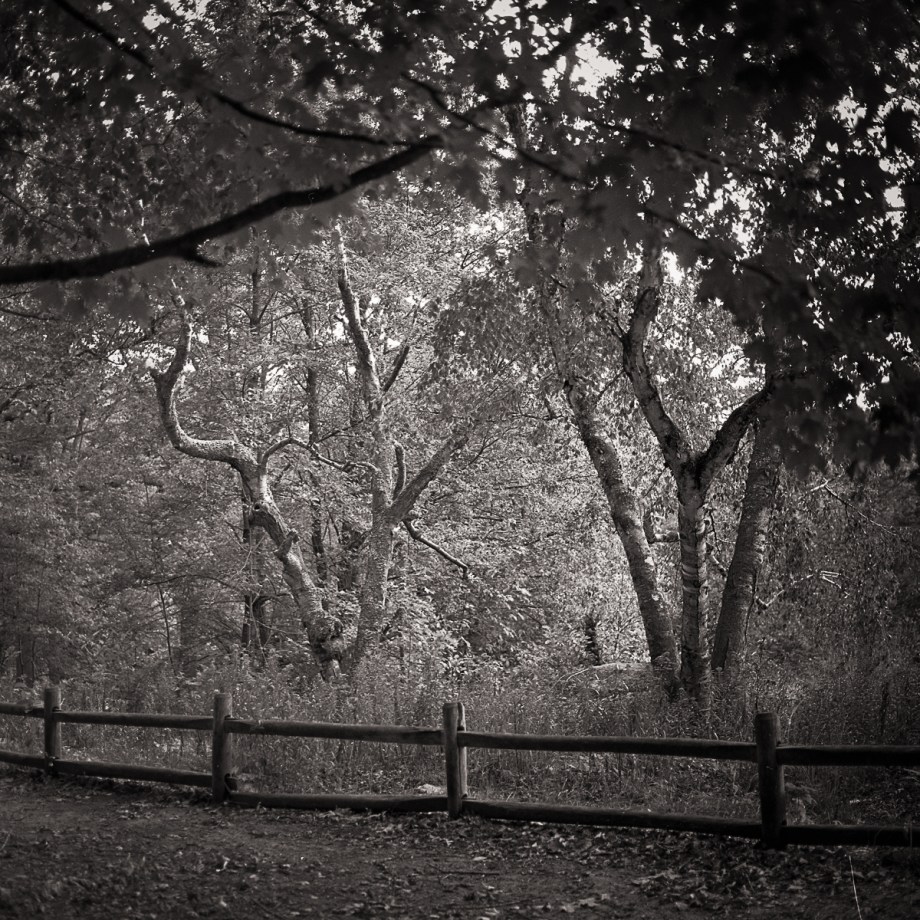high-park-hb-rpx4-10-16010-edit