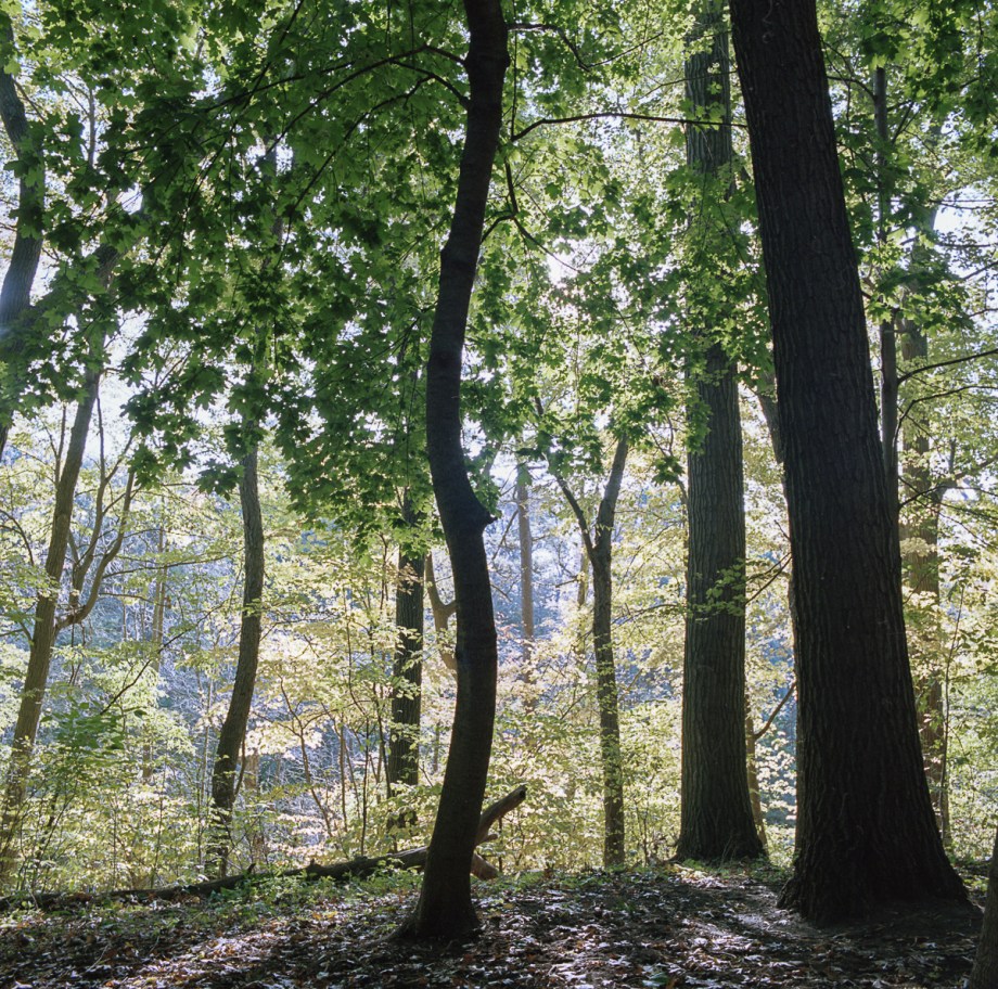 hipark-hb-pr400-10-16003