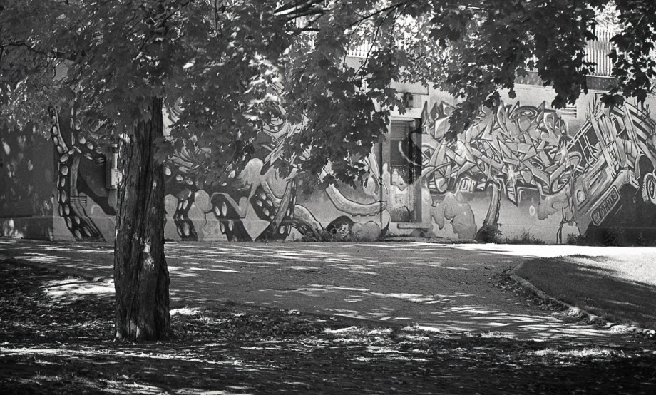 jch-400-rodinal-f3-9-16008