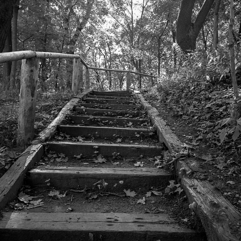 st-clair-ravine-hb-sp200006