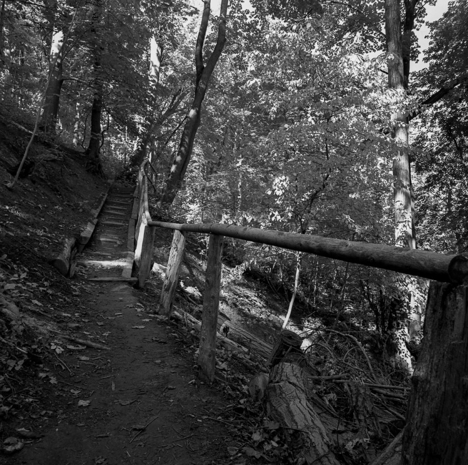 st-clair-ravine-hb-sp200010