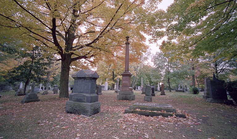 15mm-colour-fall-2016005