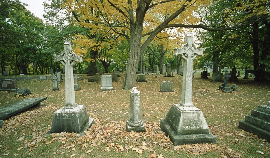 15mm-colour-fall-2016032