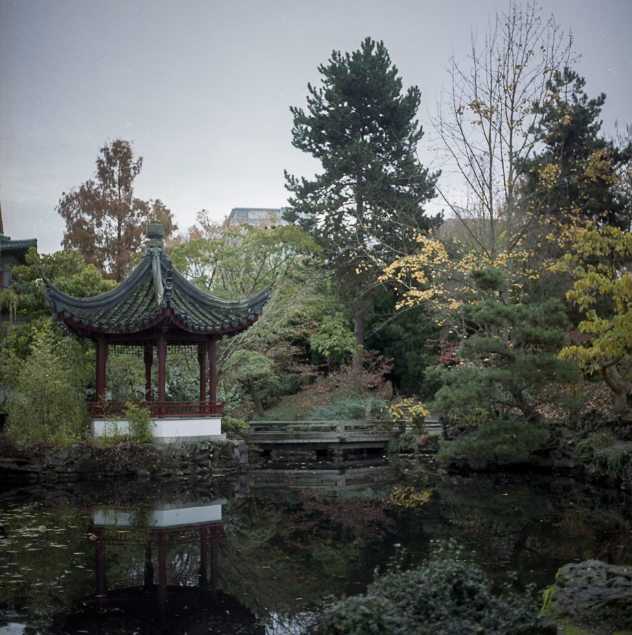 vancouver-portra-11-16002