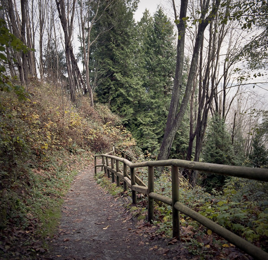 vancouver-portra-11-16021