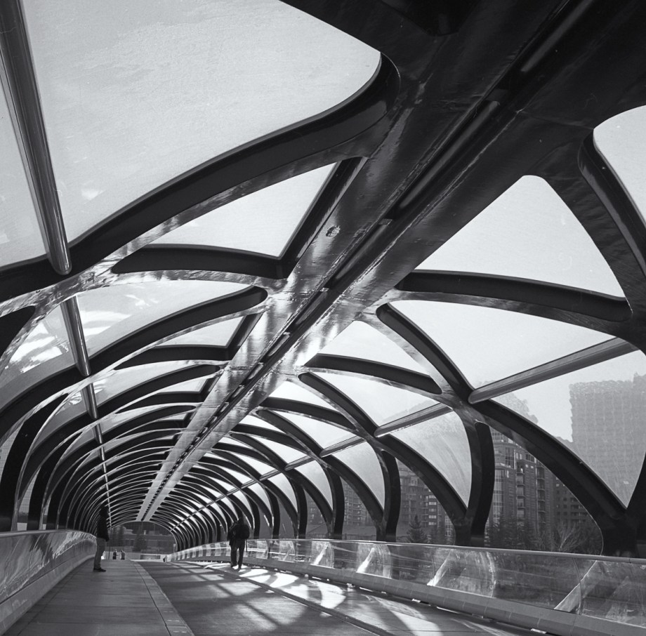 cagary-11-16-rollei-hp5001-edit