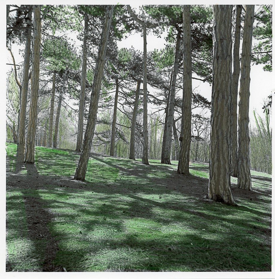 st-thomas-hb-portra013