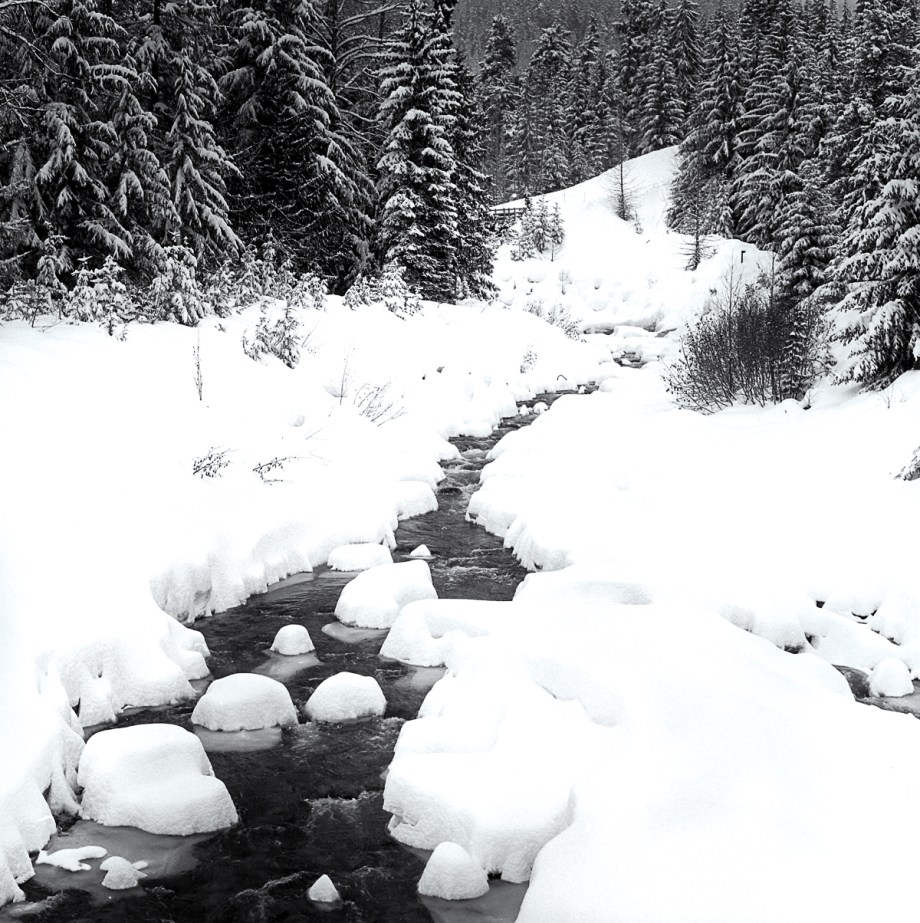 hp5-plus-hb-2-17003-edit-4