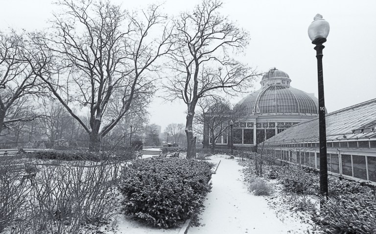 nikon-f4-20mm-tmax-400011-edit