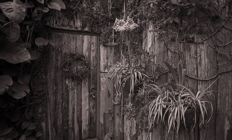 nikon-f4-20mm-tmax-400019-edit