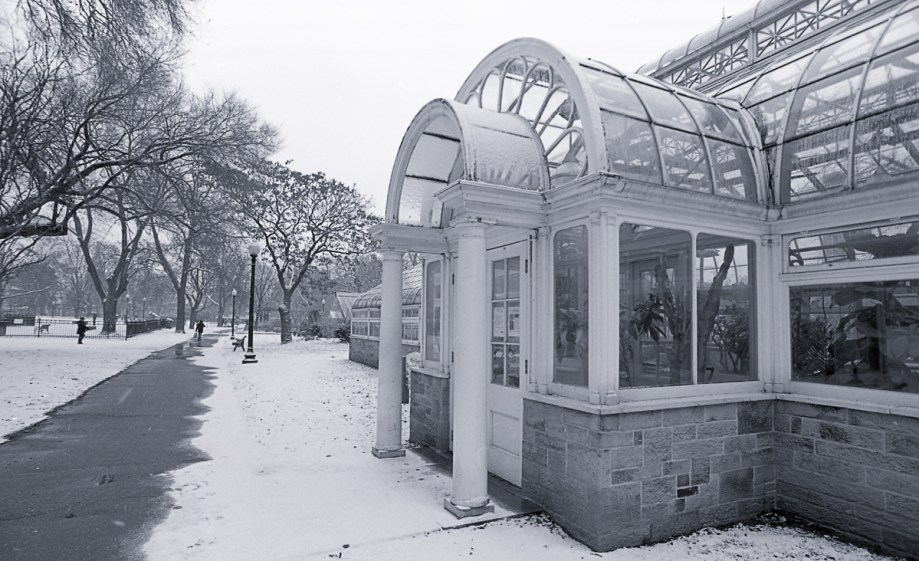 nikon-f4-20mm-tmax-400029-edit