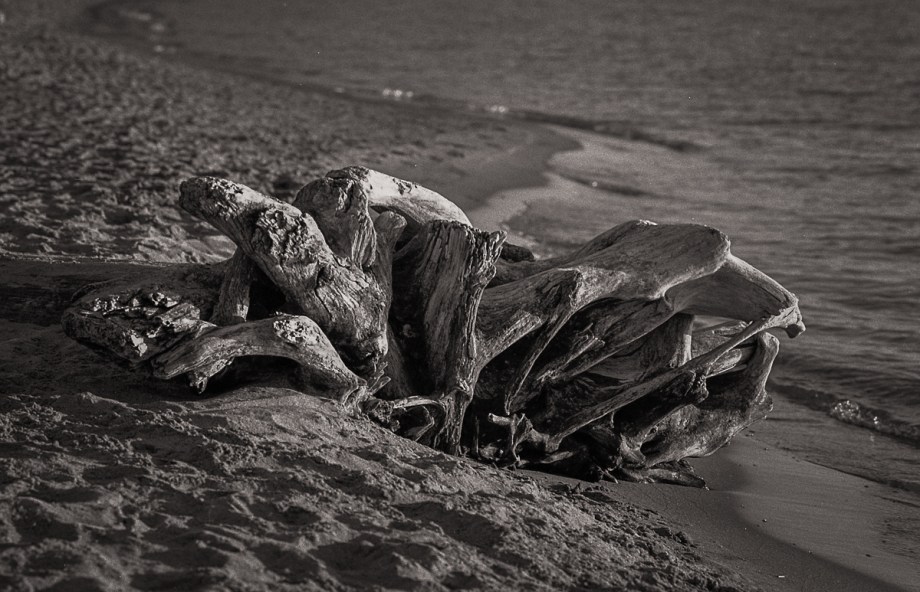 nikon-fm-jsp400-2-17018-edit